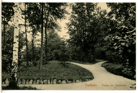 12726-Oschatz-1911-Partie im Stadtpark-Brück & Sohn Kunstverlag