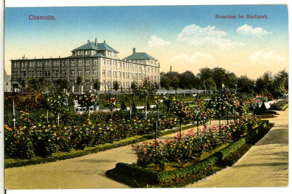 12125-Chemnitz-1910-Rosarium im Stadtpark-Brück & Sohn Kunstverlag