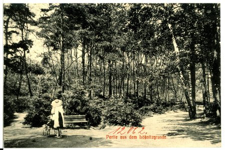 12062-Radebeul-1910-Partie aus dem Lößnitzgrund-Brück & Sohn Kunstverlag