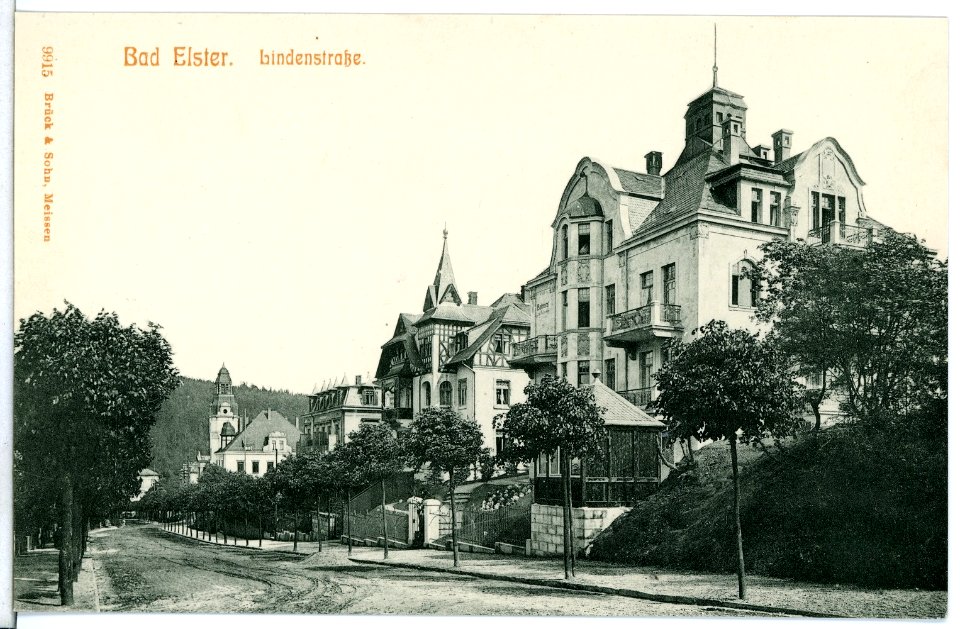 09915-Bad Elster-1908-Lindenstraße-Brück & Sohn Kunstverlag