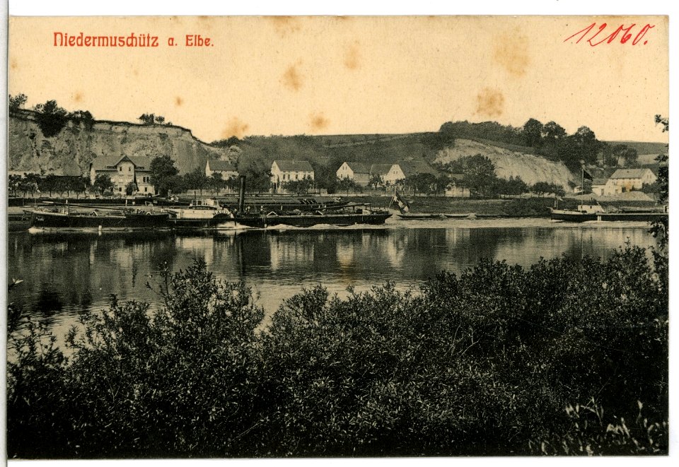 12060-Niedermuschütz-1910-Elbe mit Schleppzug Magda-Brück & Sohn Kunstverlag