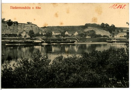 12060-Niedermuschütz-1910-Elbe mit Schleppzug Magda-Brück & Sohn Kunstverlag