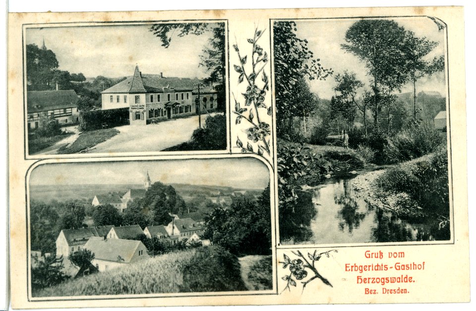 11748-Herzogswalde-1910-Erbgerichts - Gasthof-Brück & Sohn Kunstverlag