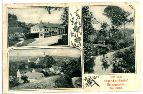 11748-Herzogswalde-1910-Erbgerichts - Gasthof-Brück & Sohn Kunstverlag