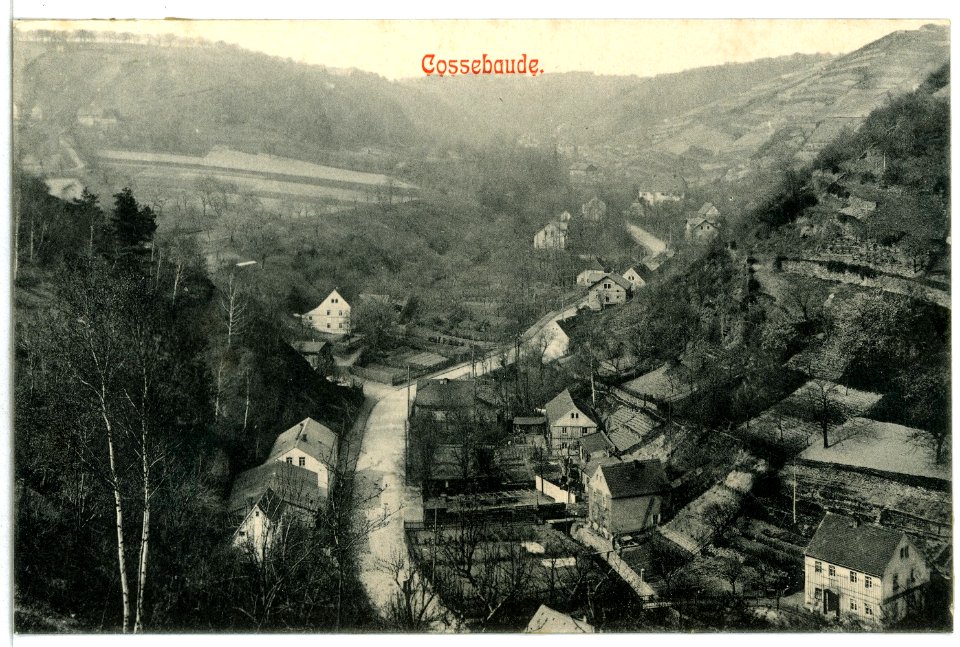 12423-Cossebaude-1911-Blick auf den Ort-Brück & Sohn Kunstverlag
