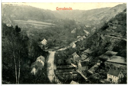 12423-Cossebaude-1911-Blick auf den Ort-Brück & Sohn Kunstverlag