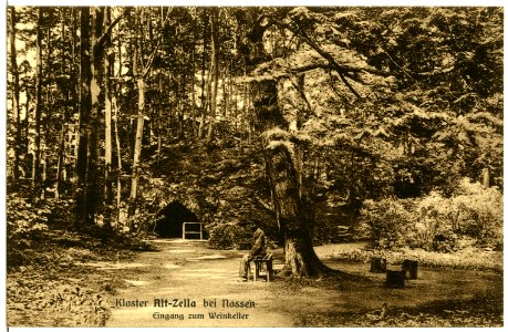 12132-Alt - Zella-1910-Eingang zum Weinkeller-Brück & Sohn Kunstverlag