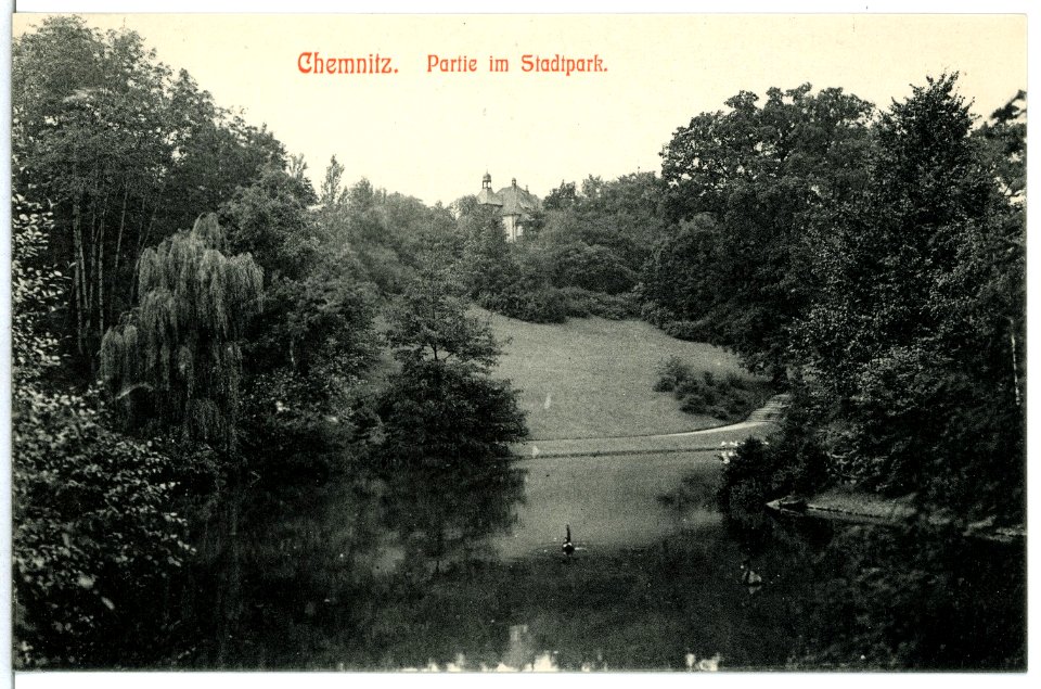 12472-Chemnitz-1911-im Stadtpark-Brück & Sohn Kunstverlag