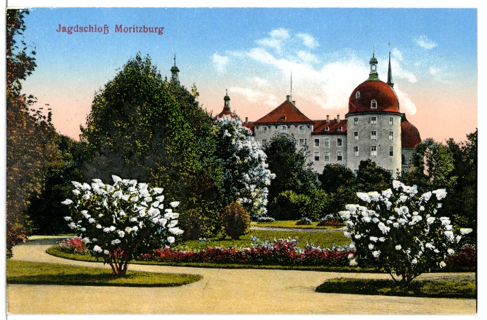 11846-Moritzburg-1910-Jagdschloß-Brück & Sohn Kunstverlag