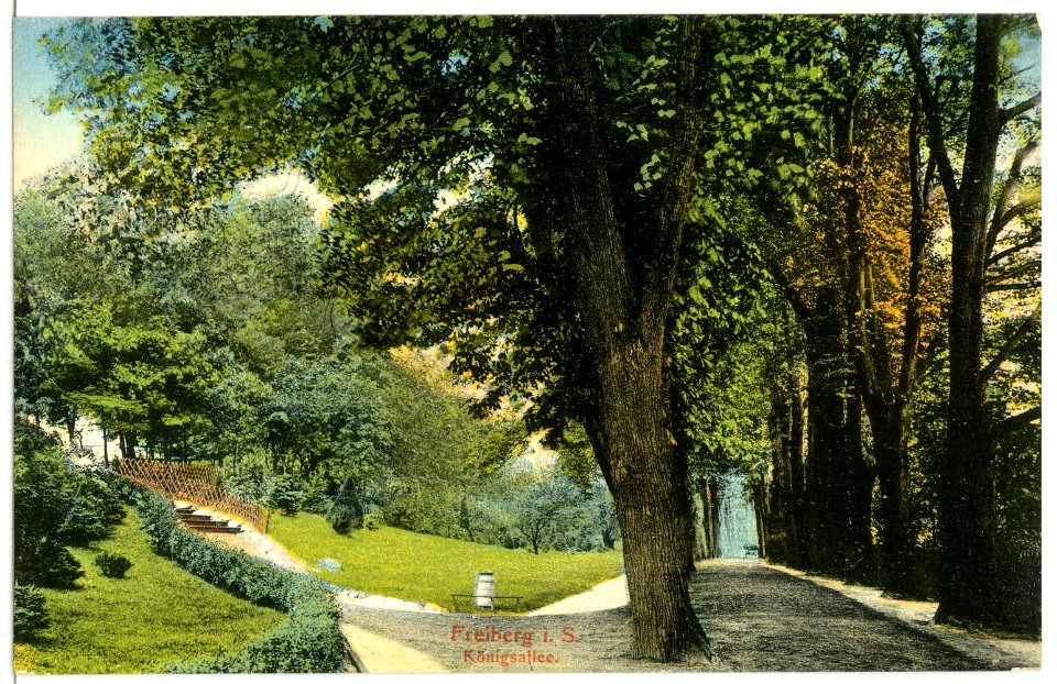 11849-Freiberg-1910-Königsallee-Brück & Sohn Kunstverlag