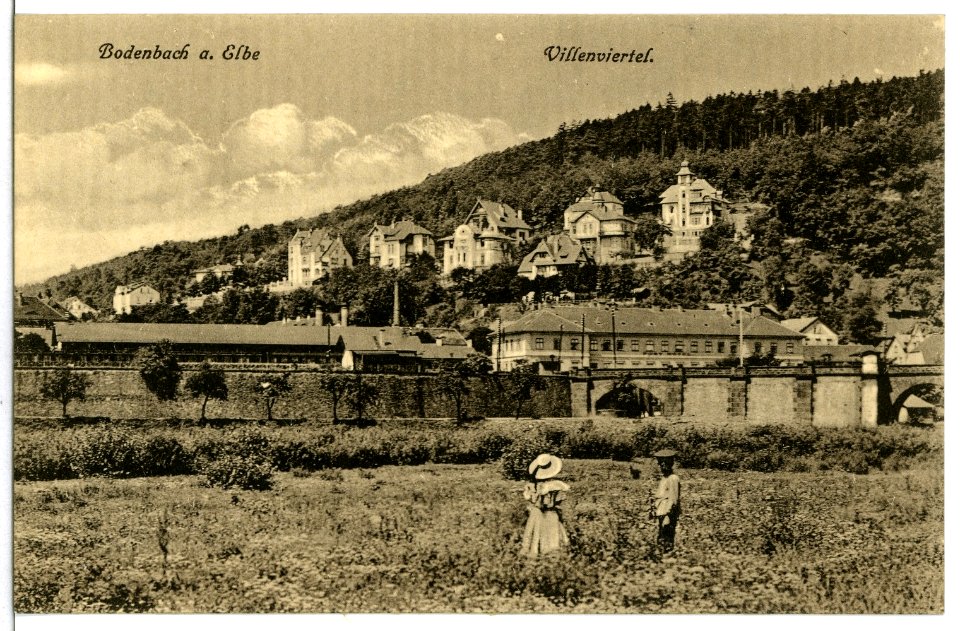 11822-Bodenbach-1910-Villenviertel-Brück & Sohn Kunstverlag