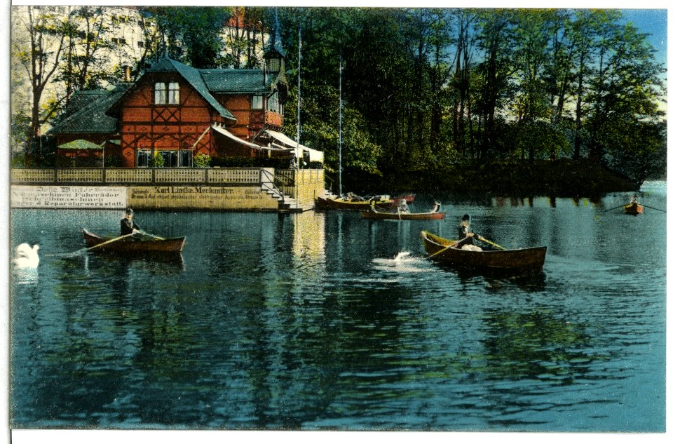 11851-Freiberg-1910-Schwanenschlößchen im Stadtpark-Brück & Sohn Kunstverlag