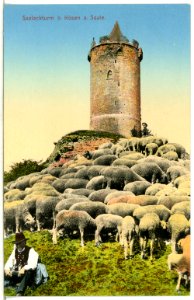 12717-Kösen-1911-Saaleckturm - Schäfer mit Herde-Brück & Sohn Kunstverlag