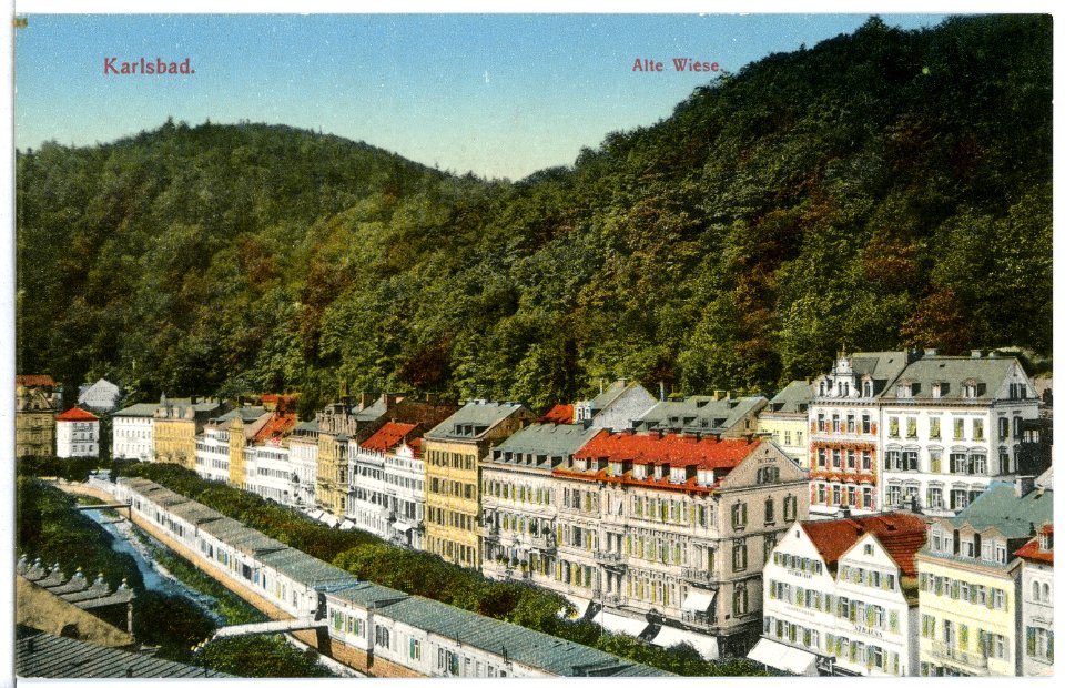 12205-Karlsbad-1910-Alte Wiese-Brück & Sohn Kunstverlag