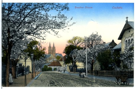11956-Oschatz-1910-Dresdner Straße-Brück & Sohn Kunstverlag