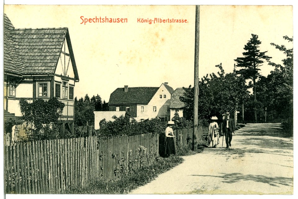12618-Spechtshausen-1911-König-Albert-Straße-Brück & Sohn Kunstverlag