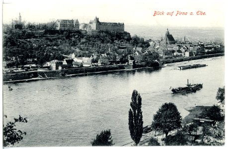 12449-Pirna-1911-Blick auf Pirna und die Elbe mit Dampfer-Brück & Sohn Kunstverlag