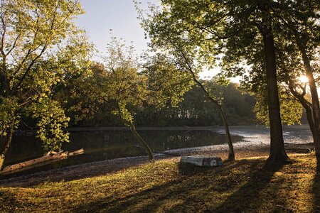 Sunshine fall scenery