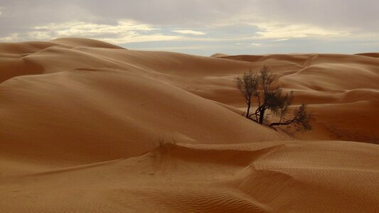 Dune pink storm photo