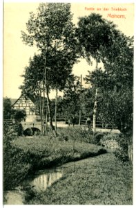 11757-Mohorn-1910-An der Triebisch-Brück & Sohn Kunstverlag
