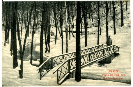 11403-Dresden-1910-Park des Garnisonslazarettes im Winter-Brück & Sohn Kunstverlag