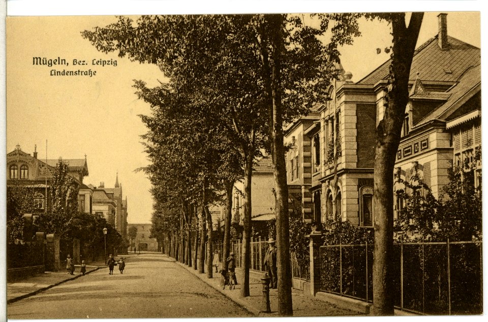 11325-Mügeln-1910-Lindenstraße-Brück & Sohn Kunstverlag
