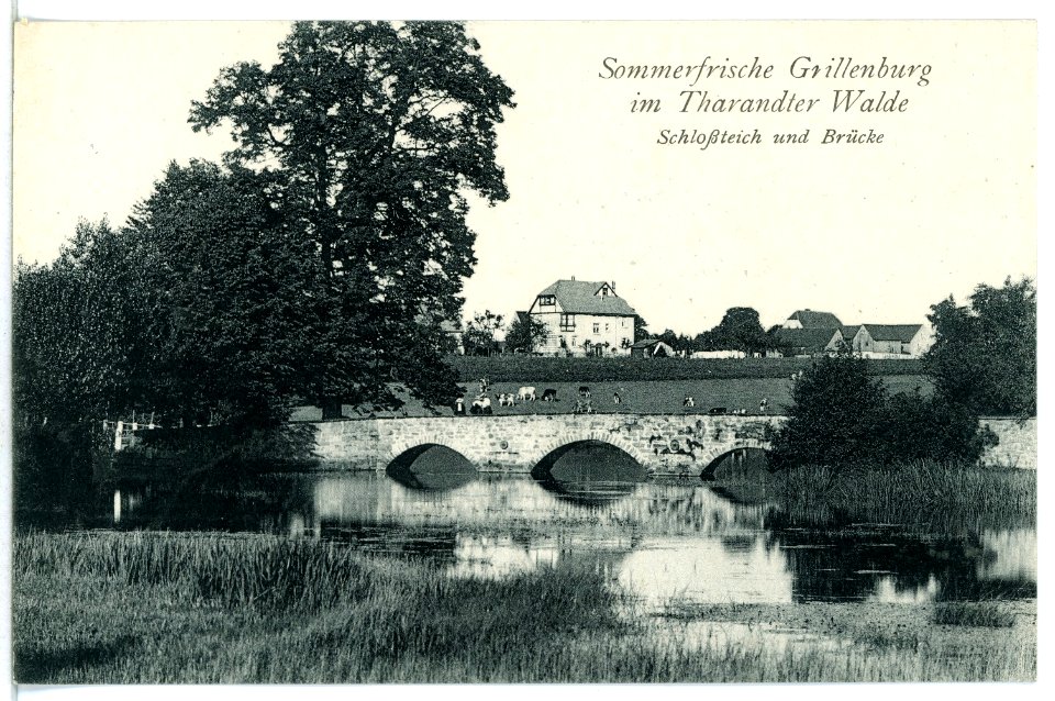 12616-Grillenburg-1911-Schloßteich und Brücke-Brück & Sohn Kunstverlag