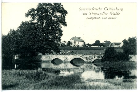 12616-Grillenburg-1911-Schloßteich und Brücke-Brück & Sohn Kunstverlag