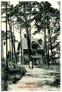 12445-Tetschen-1911-Auf dem Quaderberg-Brück & Sohn Kunstverlag