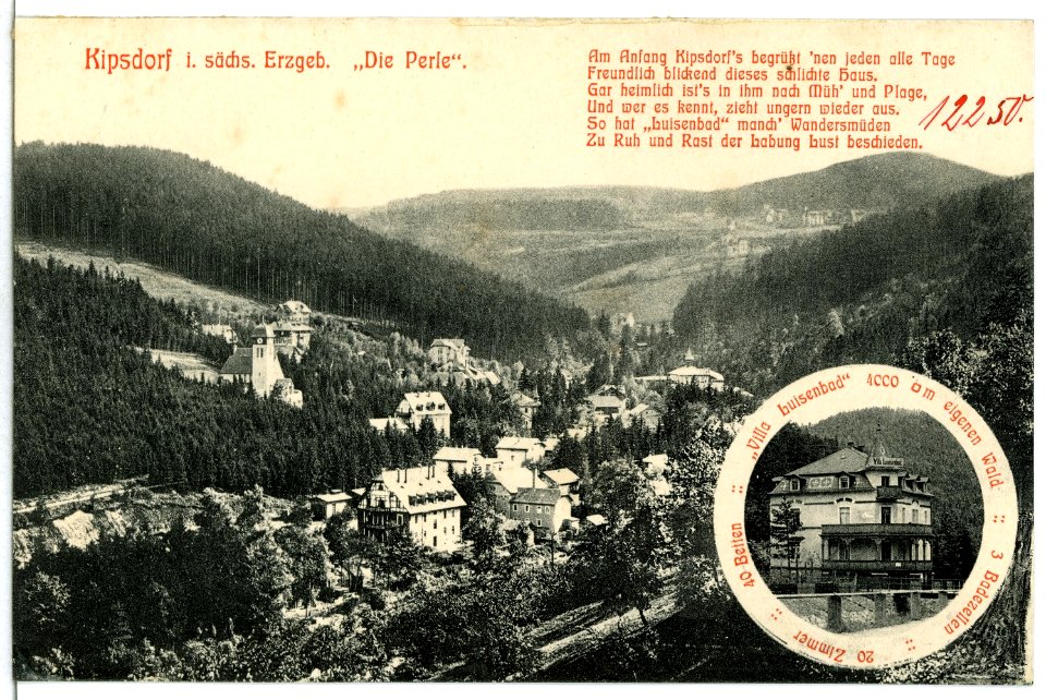 12250-Kipsdorf-1910-Blick auf Kipsdorf-Brück & Sohn Kunstverlag