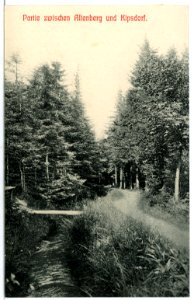 11468-Altenberg-1910-Zwischen Altenberg und Kipsdorf-Brück & Sohn Kunstverlag