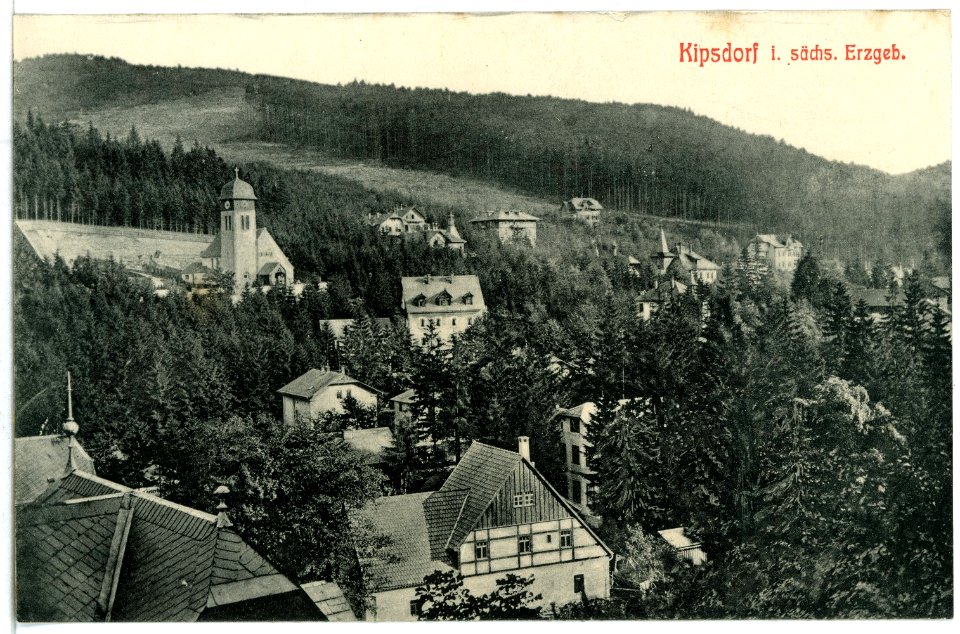 11491-Kipsdorf-1910-Blick auf Kipsdorf-Brück & Sohn Kunstverlag