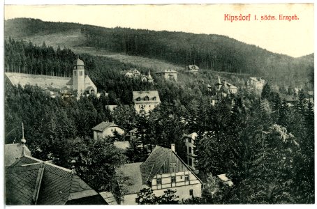 11491-Kipsdorf-1910-Blick auf Kipsdorf-Brück & Sohn Kunstverlag