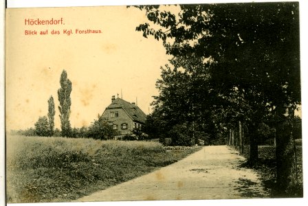 11047-Höckendorf-1910-Forsthaus-Brück & Sohn Kunstverlag