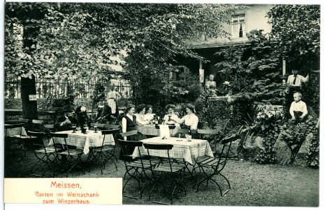 12240-Meißen-1910-Garten im Weinschank zum Winzerhaus-Brück & Sohn Kunstverlag