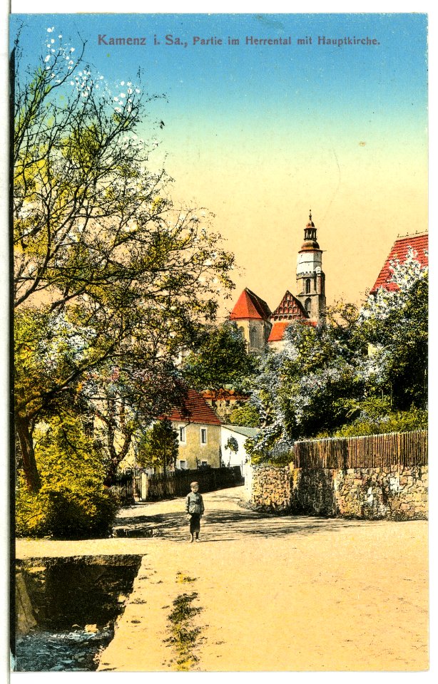 12643-Kamenz-1911-Partie im Herrental mit Hauptkirche-Brück & Sohn Kunstverlag