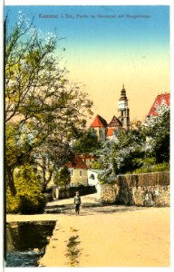 12643-Kamenz-1911-Partie im Herrental mit Hauptkirche-Brück & Sohn Kunstverlag