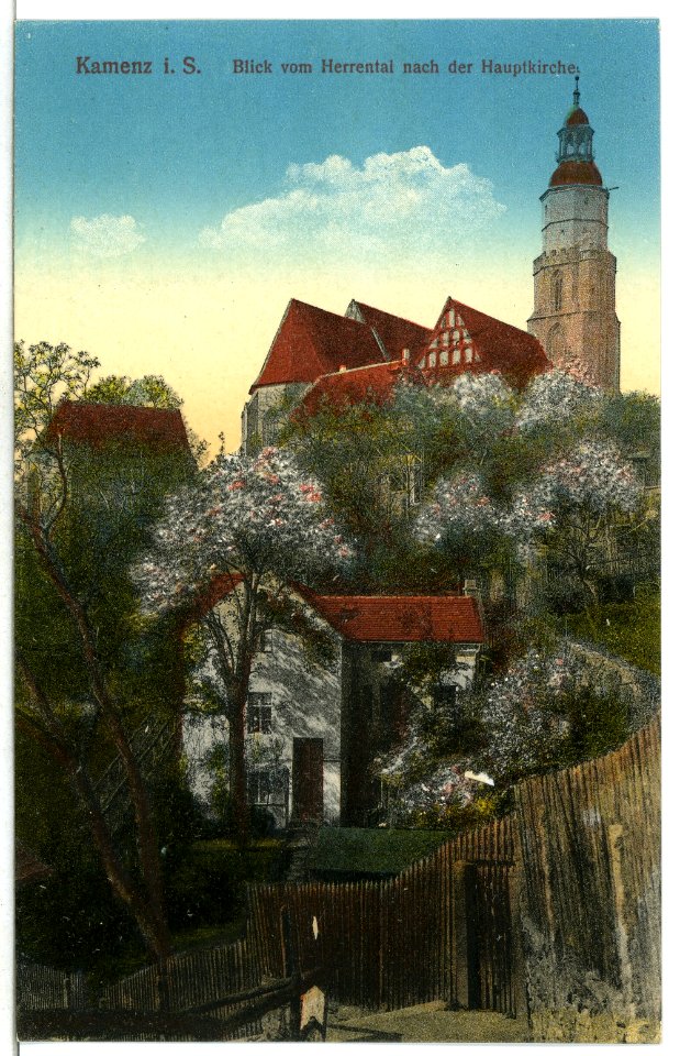 12646-Kamenz-1911-Blick vom Herrental nach der Hauptkirche-Brück & Sohn Kunstverlag
