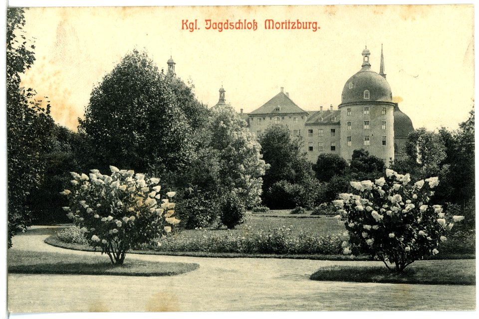 11432-Moritzburg-1910-Jagdschloß-Brück & Sohn Kunstverlag