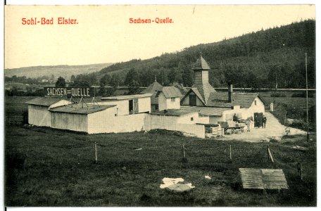 11398-Bad Elster-1910-Sohlbad - Sachsenquelle-Brück & Sohn Kunstverlag
