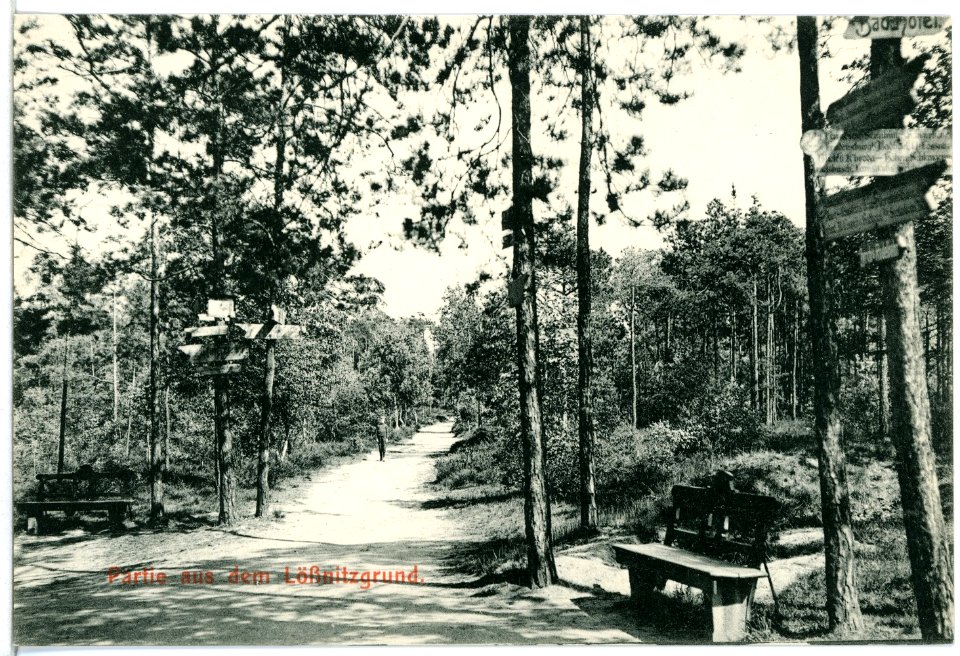 12239-Radebeul-1910-Lößnitzgrund-Brück & Sohn Kunstverlag
