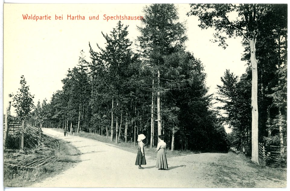 12610-Hartha-1911-Waldspaziergang-Brück & Sohn Kunstverlag