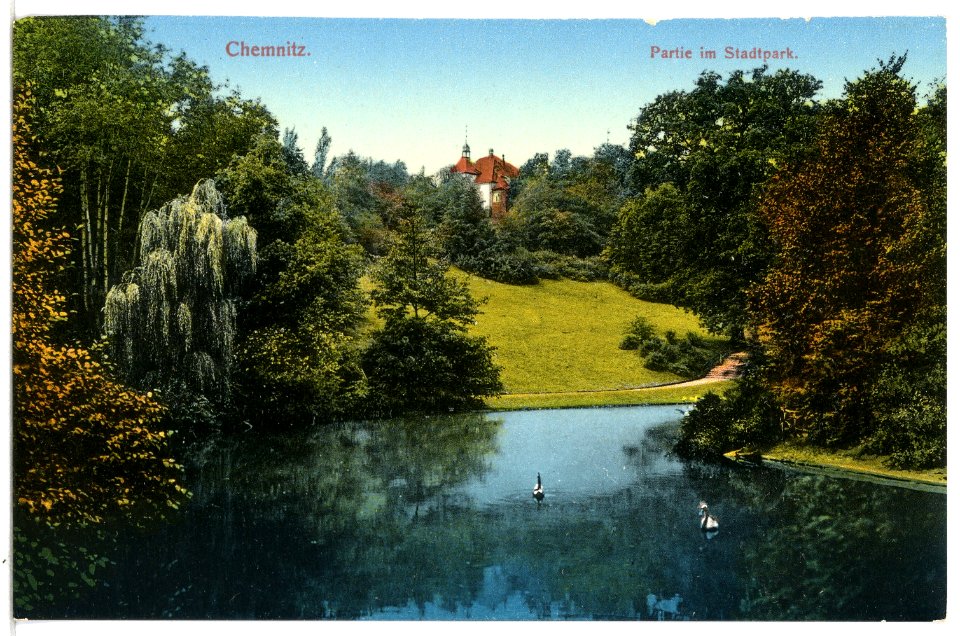 12382-Chemnitz-1910-Im Stadtpark-Brück & Sohn Kunstverlag