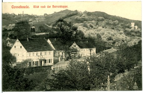 11230-Cossebaude-1910-Blick nach der Herrenkuppe-Brück & Sohn Kunstverlag