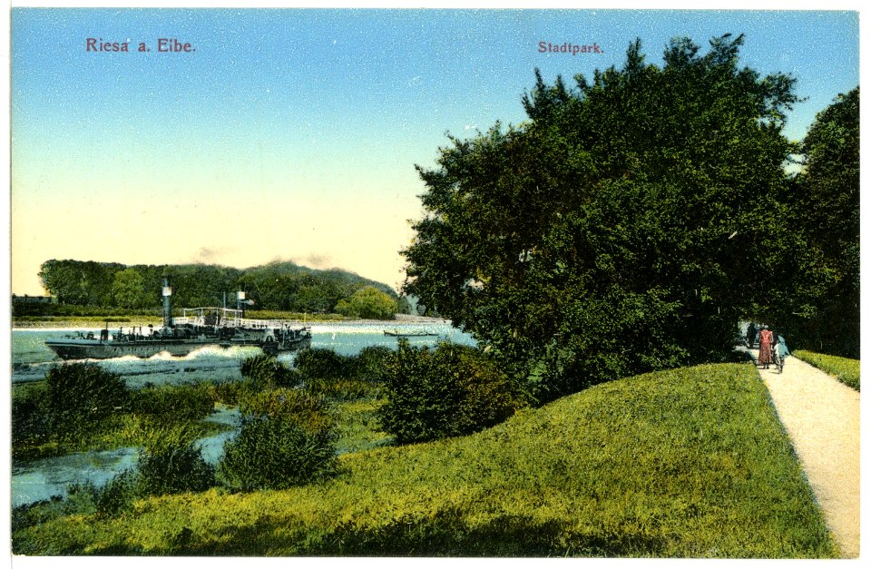 11980-Riesa-1910-Stadtpark - Elbe mit Dampfer-Brück & Sohn Kunstverlag