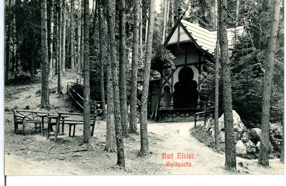 11665-Bad Elster-1910-Waldquelle-Brück & Sohn Kunstverlag