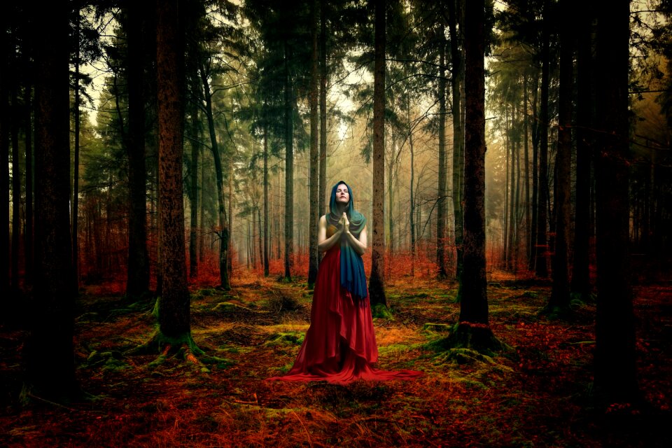 Nature landscape human