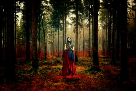 Nature landscape human