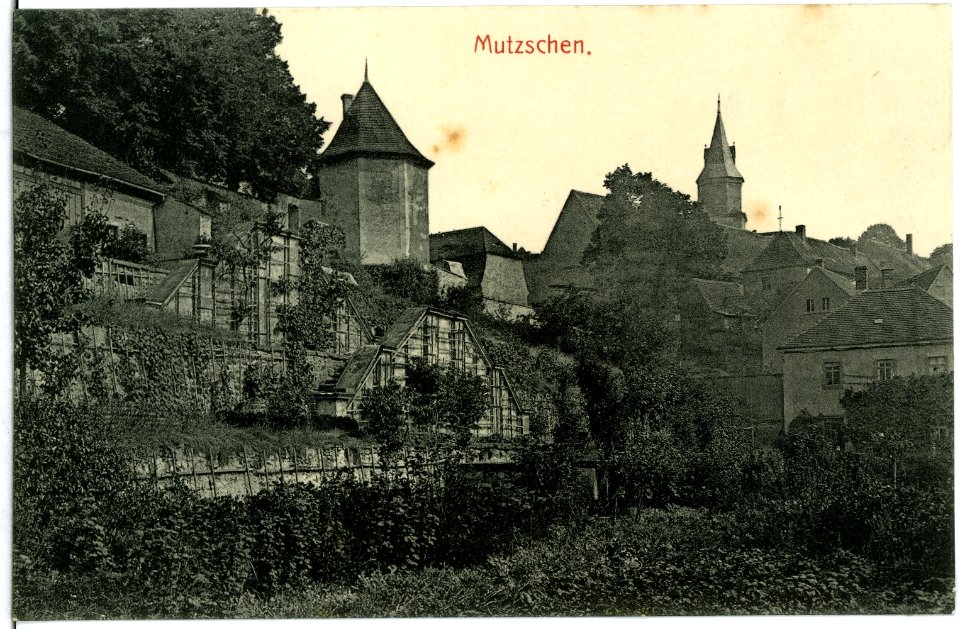 11359-Mutzschen-1910-Blick auf Mutzschen-Brück & Sohn Kunstverlag