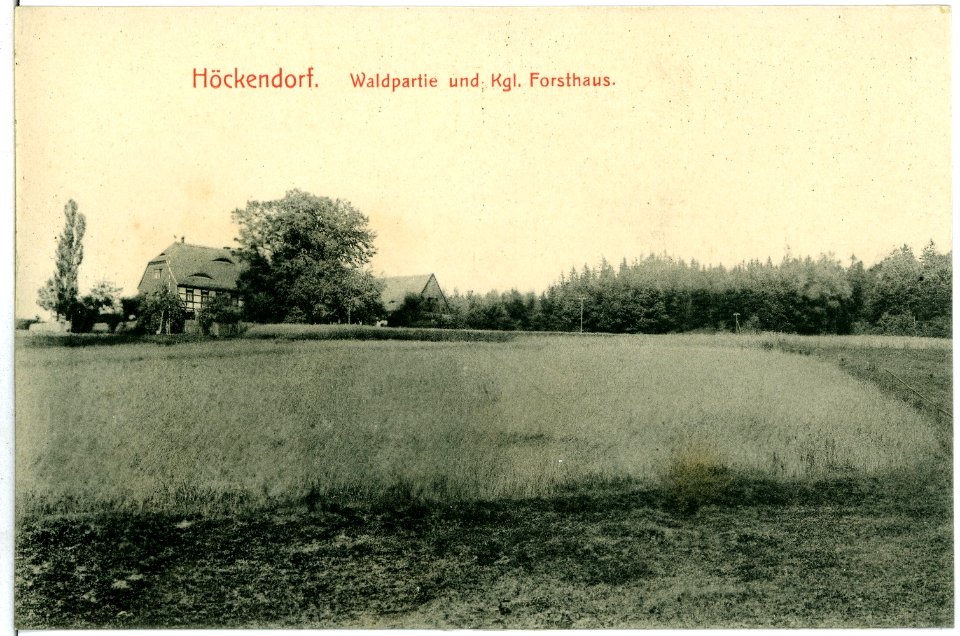 11048-Höckendorf-1910-Forsthaus-Brück & Sohn Kunstverlag
